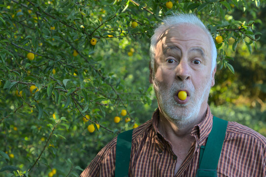 Featuring wide eyes, green suspenders, and an expression of pure, comedic disbelief, this portrait proves that gardening is full of wild moments.