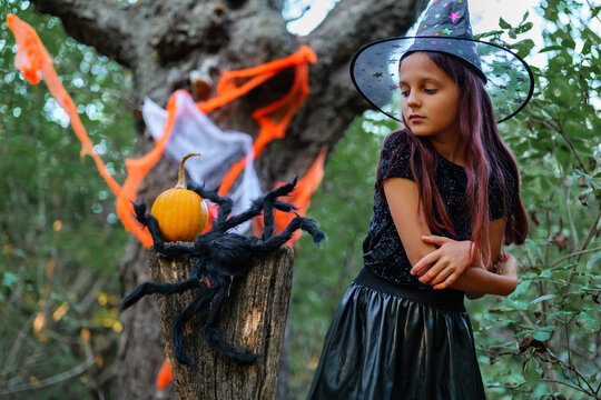 A girl dressed as a witch stands close to a pumpkin on a stump. She looks thoughtful as decorations hang in the background under green trees