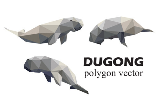 Dugong animal set in polygonal low poly vector. Vector Abstract illustration set of Dugong Fish. Dugong vector for kids book animal