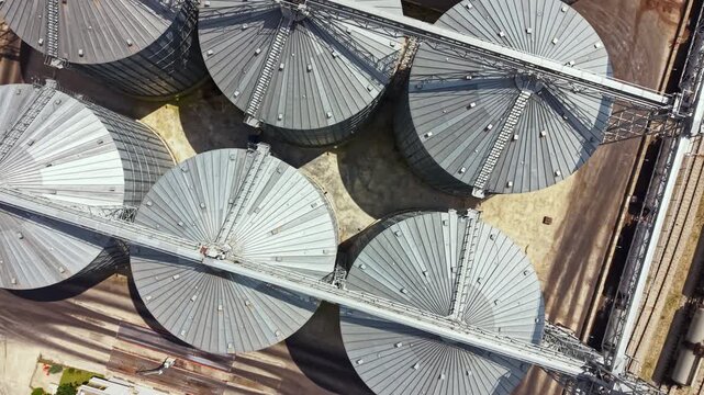 Grain storage silos stand in a row at a farming facility. A conveyor system connects the silos to a nearby loading area. The scene is bright and busy with activity.