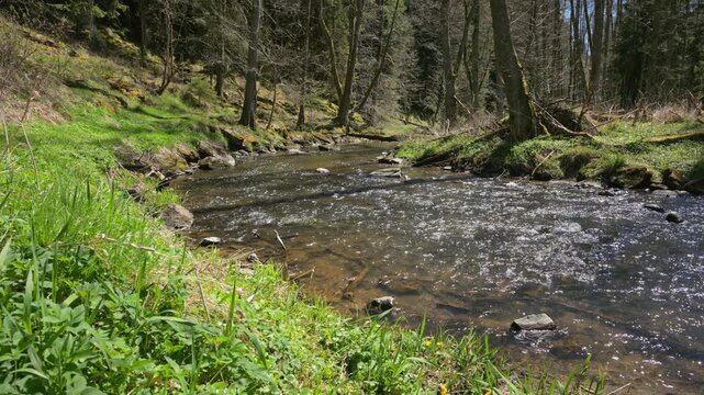relaxing view on a flowing creek with nature sounds