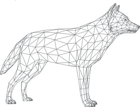 Abstract 3D wireframe vector illustration of wolf, low poly geometric dog or fox wild animal concept