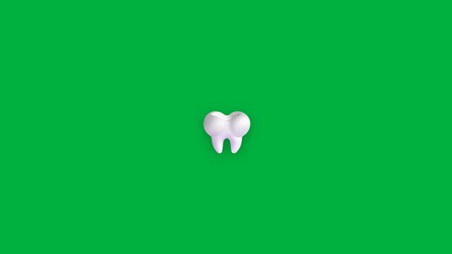3d human molar tooth rotating on green screen background