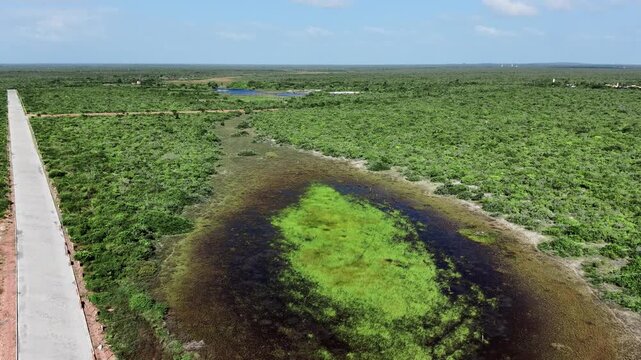 Aerial View of Small Wetland Pond Beside a Rural Road