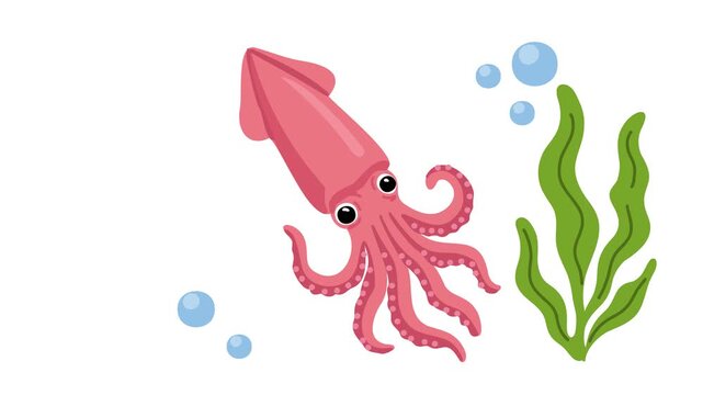 Animation of squid underwater