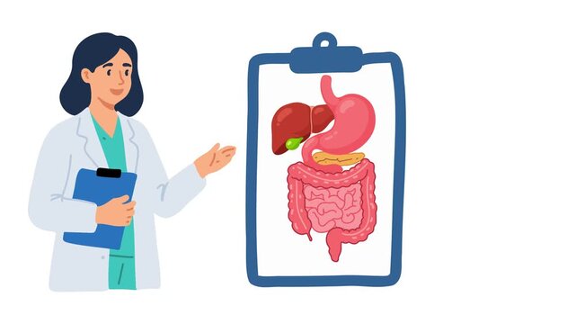 animation medical doctor explaining human digestive system