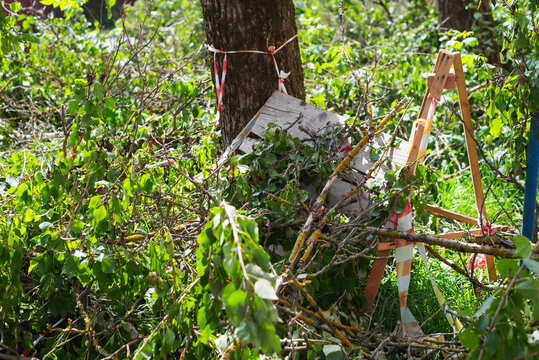 fallen branches and debris in a wooded area. The scene shows a pile of branches next to a wooden support structure surrounded by greenery
