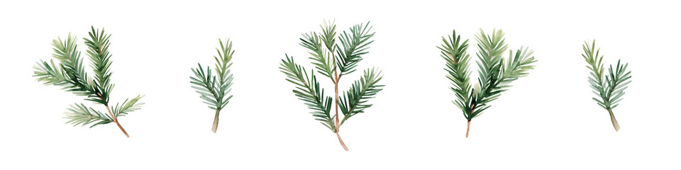 Fototapeta premium Watercolor pine branch botanical clipart set isolated on white background. Ideal for invitations, greeting cards, branding, holiday decor, stationery, and digital design.