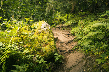 Obraz premium Discover the enchanting Moulin de Chambeuil in the Cantal region of Auvergne France, where a historic stone mill, crystal clear streams and lush forests create a landscape.