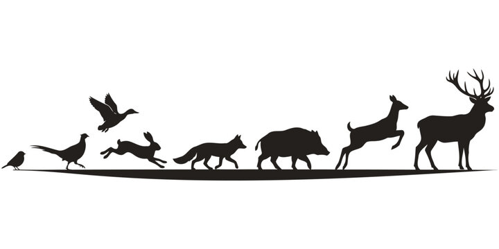 Wild forest animals and game birds vector silhouette line for outdoor hunting