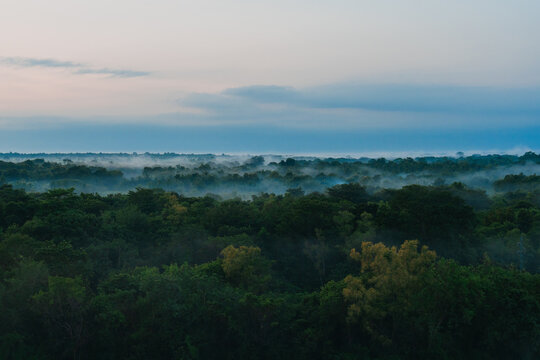Mist over the dense tropical rainforest 