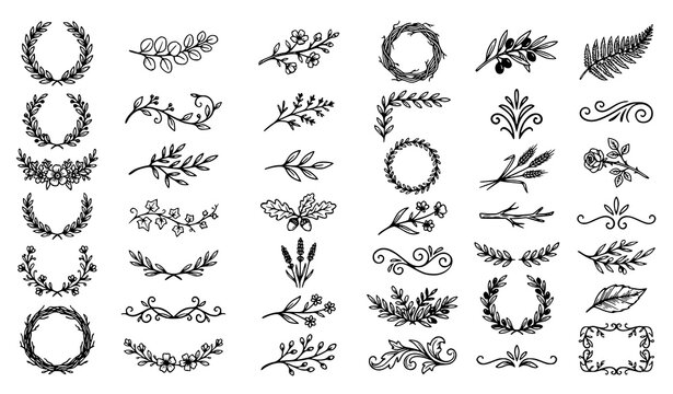 Botanical Laurel Wreath Vector Pack with Hand Drawn Branches Floral Swirls and Leaf Ornaments
