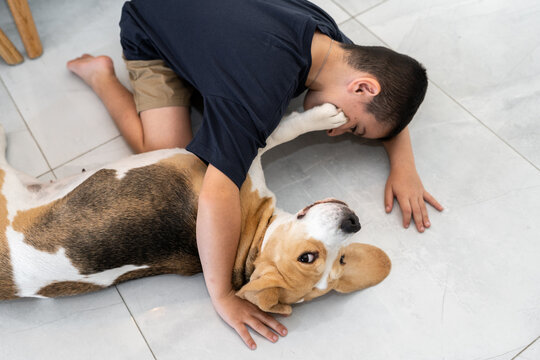 Happy Beagle And Boy Sharing A Playful Moment