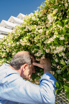 Mature senior man peeking through flowers near luxury apartments