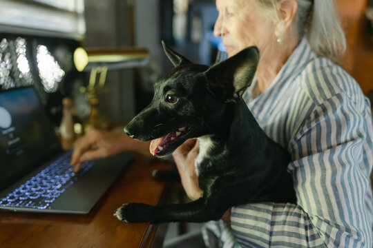 woman sitting at her desk with dog on her lap 