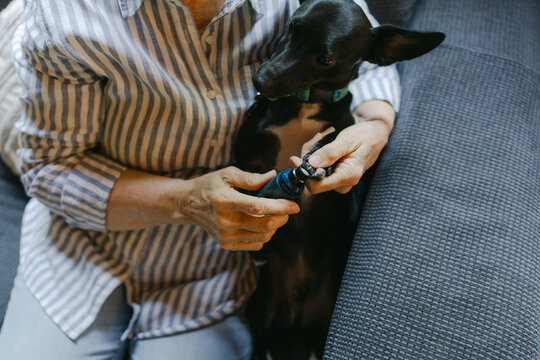 woman trimming nails of her dog 