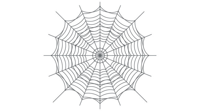 Symmetrical spider web vector illustration, intricate cobweb design on white background, circular spiderweb graphic for Halloween decor and spooky themes