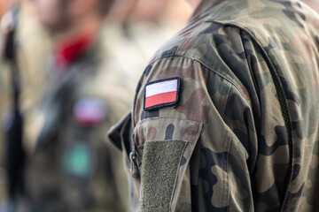 Obraz premium Żołnierze wojska polskiego na apelu uroczystym.