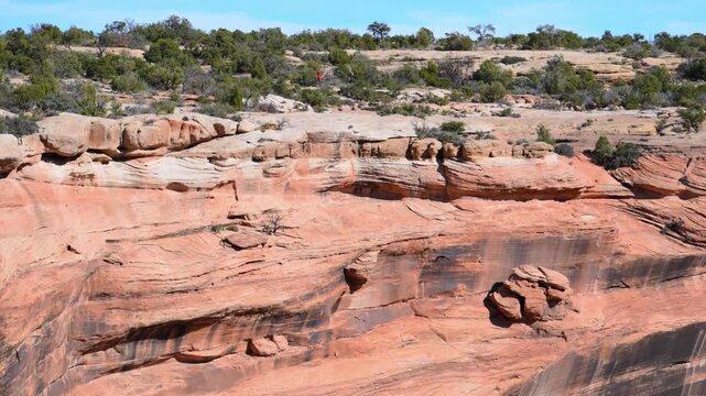 Landscape of Canyon de Chelly National Monument in Arizona, USA. Black ravens Corvus corax soar above the canyon against a backdrop of towering sandstone cliffs covered with sparse desert vegetation