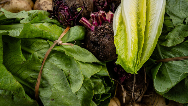 organic vegetables