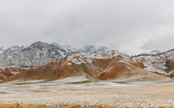 The interwoven colors of snowy mountains and pasture grasslands.