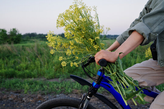 Person holding yellow wildflowers on bicycle handlebars in field