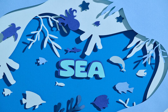 Ideal for environmental awareness, conservation campaigns