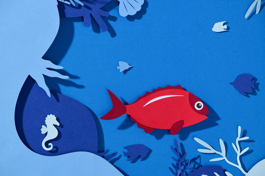 Features sea creatures like seahorses and fish among coral and plants.