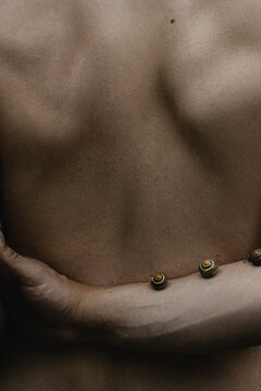 Snails on a Person's Back During a Close-Up Photo Session