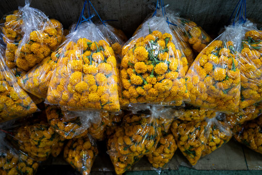 Plastic bags full of marigold flowers for sale at a market in Bangkok