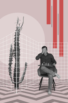  A man sitting in a chair holding chess  and euphorbia cactus