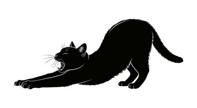 Black Cat Silhouette Stretching and Yawning