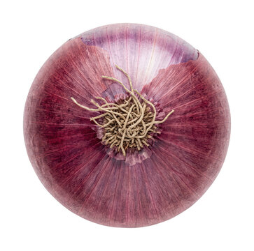 Fresh red onion png Organic red onion cutout Whole red onion png Purple red onion cutout Single red isolated transparent background image