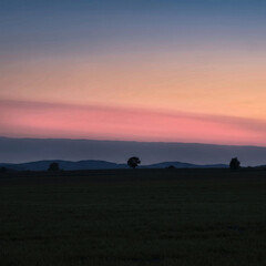 Fototapeta premium Minimalist twilight landscape featuring the Belt of Venus pink sky gradient over trees