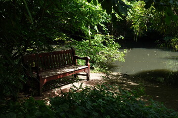 Empty wooden bench by the river in a peaceful forest shade at daytime © Aoun