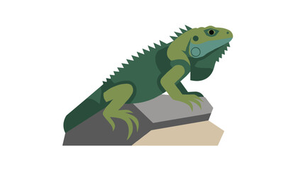 Fototapeta premium Detailed vector illustration of a green iguana lizard sitting calmly on grey rocks isolated on a clean white background.