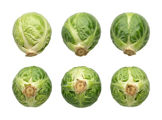 Obraz premium Fresh brussels sprout png Green brussels sprout png Healthy brussels sprout cutout Organic brussels isolated transparent background image