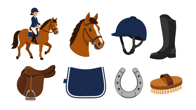 Equestrian riding gear and horse equipment vector set