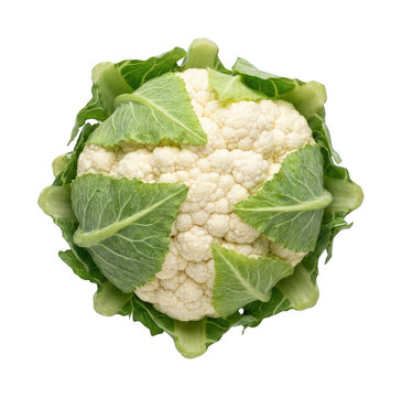 Fresh cauliflower png Whole cauliflower cutout Organic cauliflower png Natural cauliflower cutout isolated transparent background image
