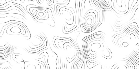 Obraz premium Abstract black and white topographic lines creating intricate patterns on white background