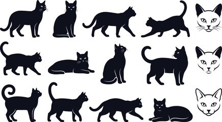 Collection of black cat silhouettes in various poses and detailed feline face illustrations for creative design and commercial use © MSTESMOTARA