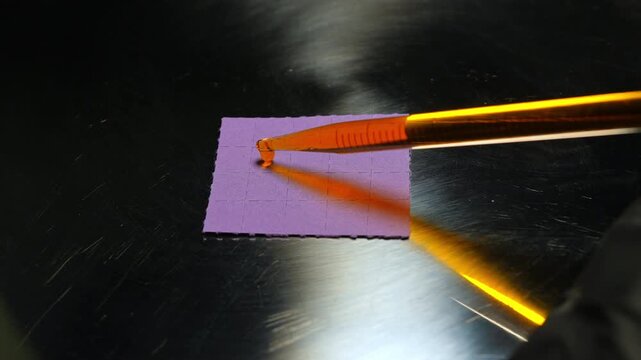LSD blotter paper as part of controlled psychedelic research including microdosing studies and clinical trials exploring LSD‑assisted therapy for conditions like depression and PTSD.