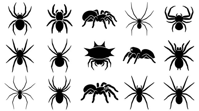 Set of black spider silhouette icons showing different species and poses for Halloween decoration and web design