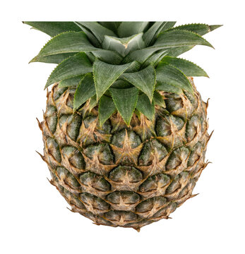 Ripe pineapple png fresh ananas png tropical pineapple cutout whole pineapple png juicy pineapple isolated transparent background image