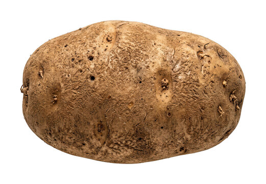 Organic potato png isolated transparent background
