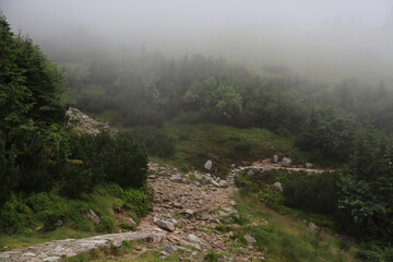 fog in the mountains © Anna