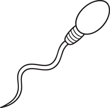 Sperm Cell Reproductive Biology Line Icon Vector Illustration