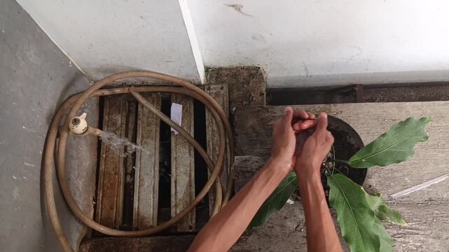 Top view of a coiled garden hose beside a floor drain and a potted green plant in an outdoor residential area, showing everyday home maintenance and utility equipment.