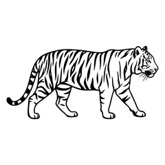Obraz premium Walking tiger silhouette illustration. Black and white vector drawing of a wild cat.
