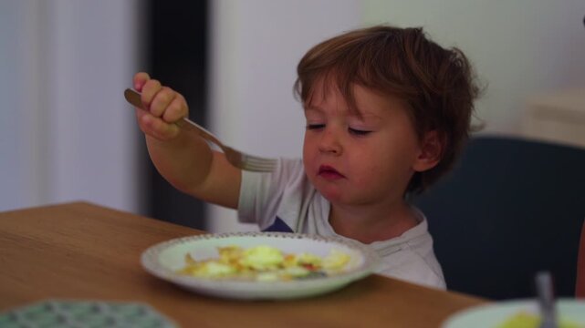 Toddler eating scrambled eggs independently at family breakfast table, using fork during morning meal, expressing healthy nutrition, self feeding, childhood development and everyday home life